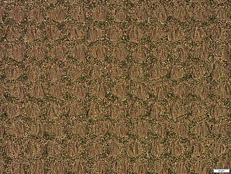 Laser-Induced Periodic Surface Structures (LIPSS)