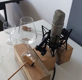 Untersuchung der Resonanz von Weingläsern